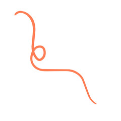 Calligraphic swirl flourish collection