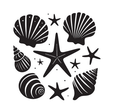 Set of different black sea shells and starfish vector illustration