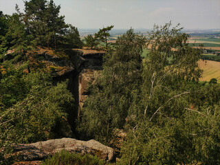 A forested valley stretches out beneath a rocky cliff in a sunny day