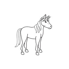 horse illustration