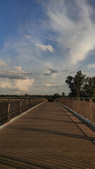 Obraz premium A view down a wooden bridge, with green trees and a blue sky with white clouds in the background