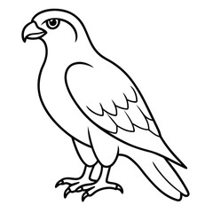 Hawak silhouette vector 