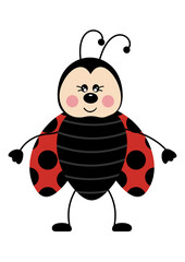 Obraz premium Friendly ladybug isolated on white.