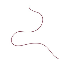 Hand drawn collection of curly swishes, swashes and wavy lines. Vector calligraphy flourishes for text