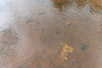 Sandy beach meets the ocean in rolling waves, a timeless seascape under a bright summer sky