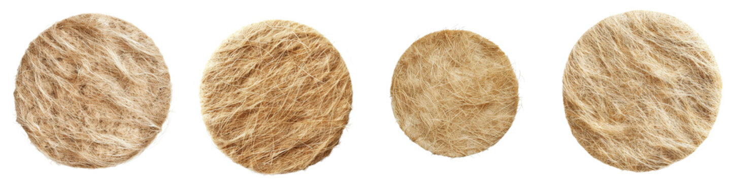 Set of A Complex material circle of dehydrated gammarids fiber on a transparent background