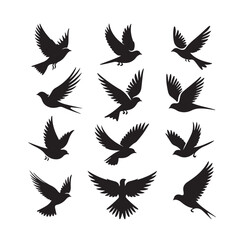Flying birds silhouettes vector illustration