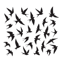 Flying birds silhouettes vector illustration