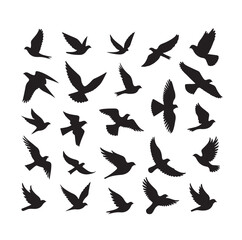 Flying birds silhouettes vector illustration