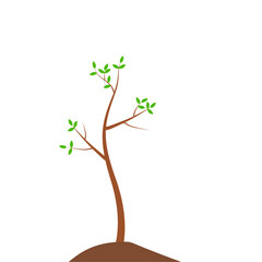 Growth Plant Tree Illustrations