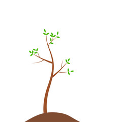 Growth Plant Tree Illustrations