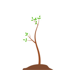 Growth Plant Tree Illustrations