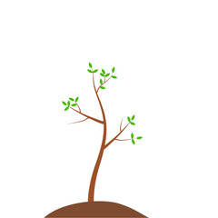 Obraz premium Growth Plant Tree Illustrations