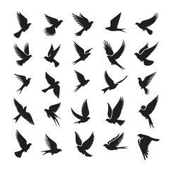 Flying birds silhouettes vector illustration