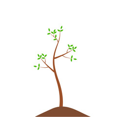 Growth Plant Tree Illustrations