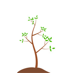 Growth Plant Tree Illustrations