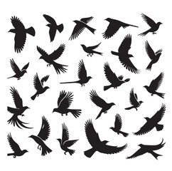 Flying birds silhouettes vector illustration