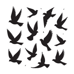 Flying birds silhouettes vector illustration