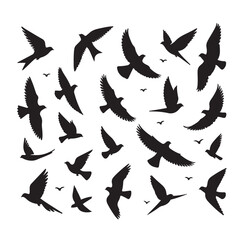 Flying birds silhouettes vector illustration