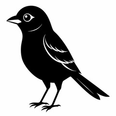 Shrike black silhouette