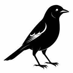 Shrike black silhouette