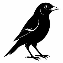 Shrike black silhouette