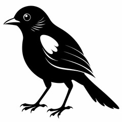 Shrike black silhouette