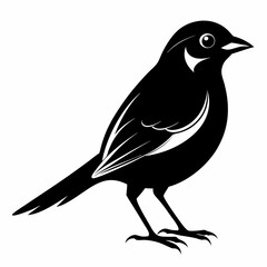 Shrike black silhouette