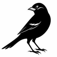 Shrike black silhouette