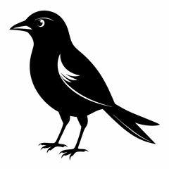 Shrike black silhouette