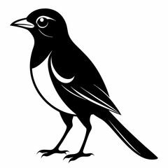 Shrike black silhouette