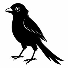 Shrike black silhouette