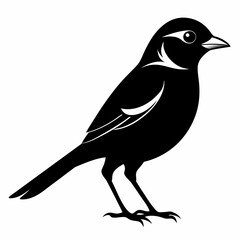 Obraz premium Shrike black silhouette