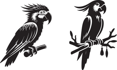 Parrot silhouette vector eps