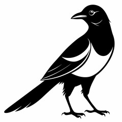 Magpie silhouette black