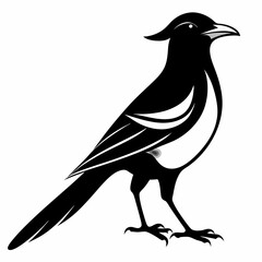 Magpie silhouette black
