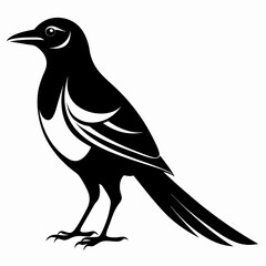Magpie silhouette black