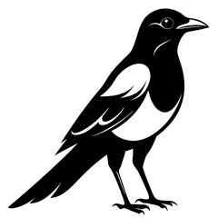 Magpie silhouette black
