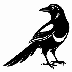 Magpie silhouette black