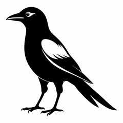 Magpie silhouette black