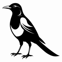 Fototapeta premium Magpie silhouette black