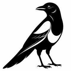 Magpie silhouette black