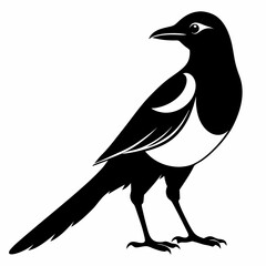 Magpie silhouette black