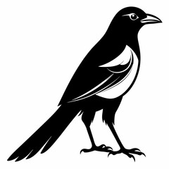 Magpie silhouette black