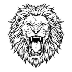 Sketch of a lion roaring, front view, on a white background