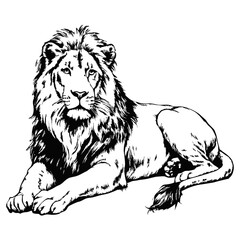 Sketch of a standing lion, side view, on a white background