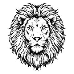 Sketch of a lion with a majestic mane, top view, on a white background