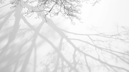 The subtle shadows of distant trees create a textured, ethereal appearance. The interaction of light and shadow Reminiscent of the peace and beauty of nature. All in a minimalist style.