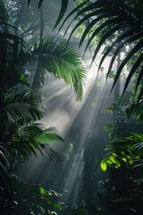 A foggy morning in a dense forest, sunlight breaking through the trees and illuminating the mist.