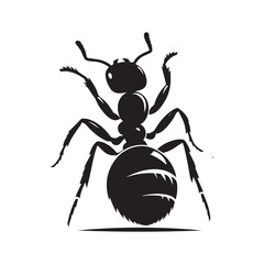 Ant silhouette vector